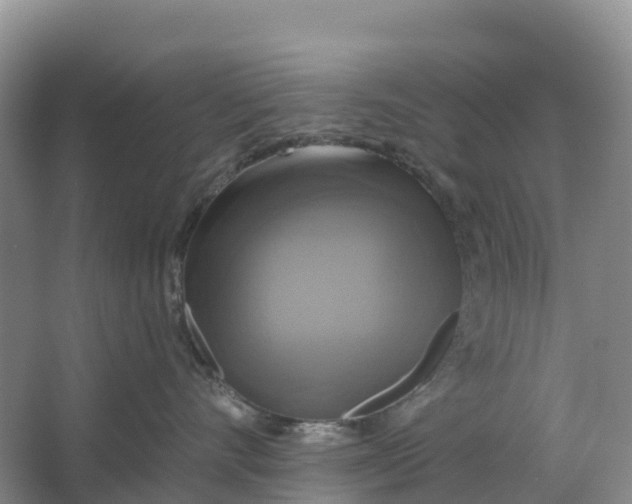 X0000064740528200602241802