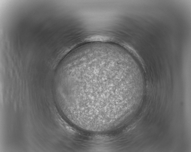 X0000064740529200602241800