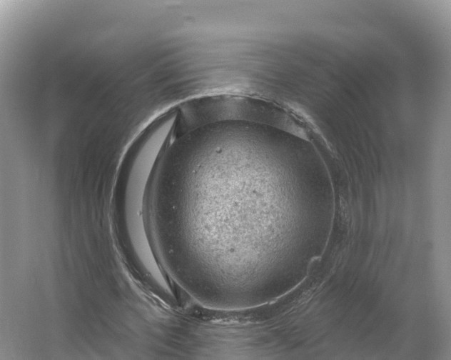 X0000064740532200602241801