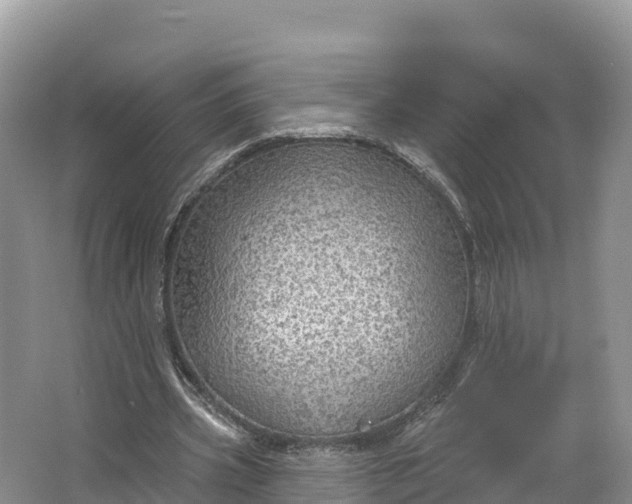 X0000064740533200602241801