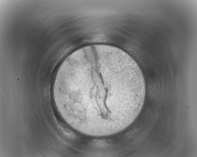 X0000064740534200602241801