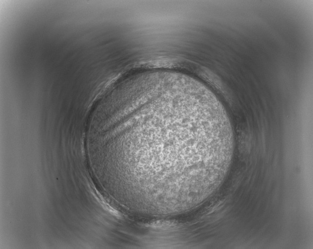 X0000064740537200602241801