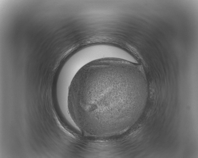 X0000064740538200602241801