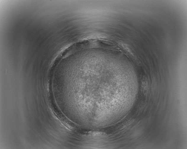 X0000064740539200602241801