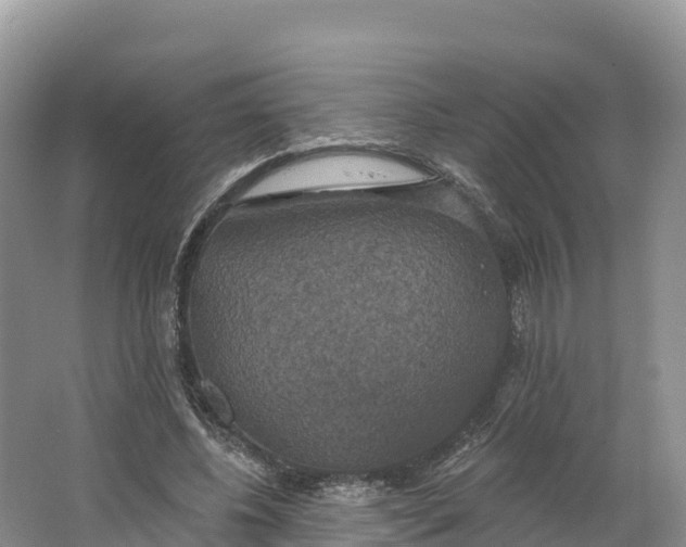 X0000064740540200602241801