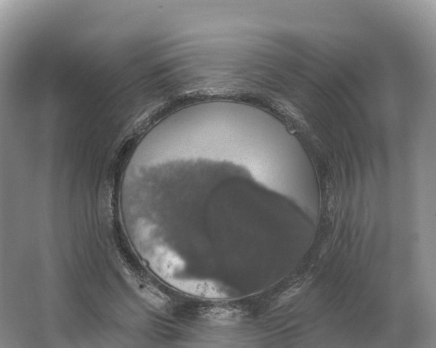 X0000064740542200602241801