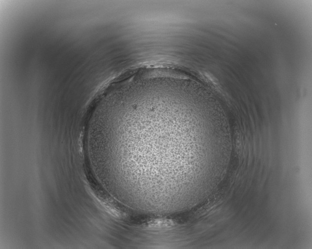 X0000064740543200602241801