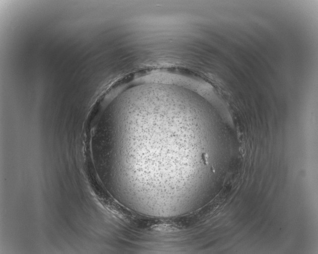 X0000064740544200602241801