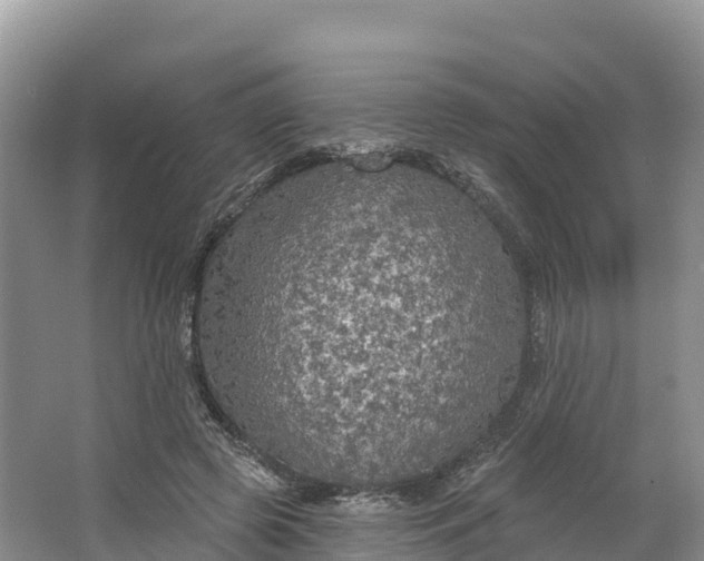 X0000064740545200602241801