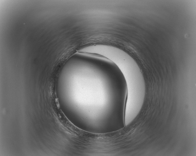 X0000064740546200602241801