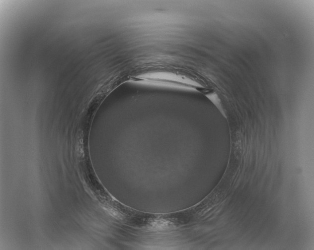 X0000064740547200602241801