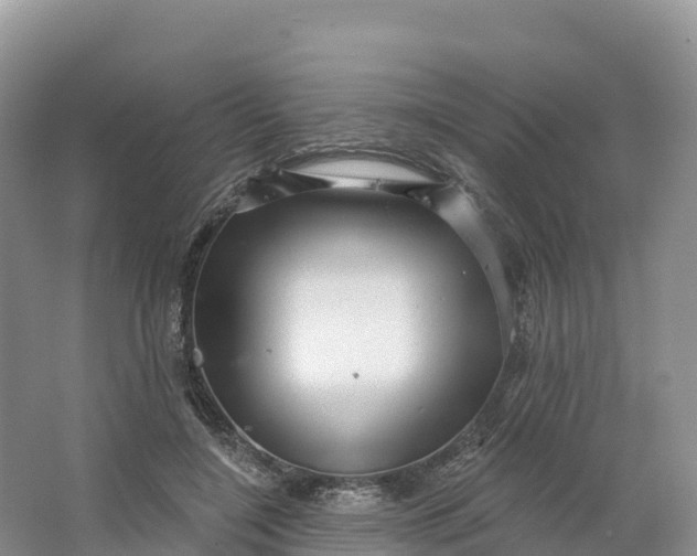 X0000064740548200602241801