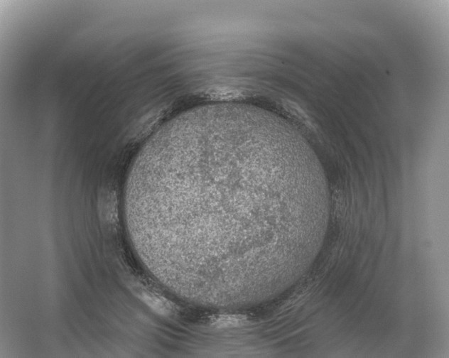 X0000064740549200602241801