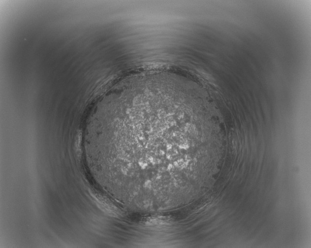 X0000064740550200602241801