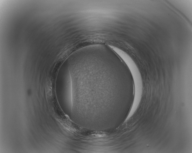 X0000064740552200602241801