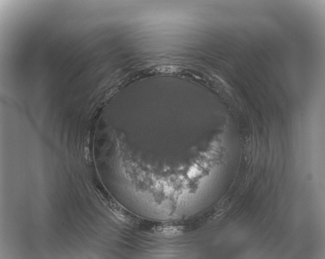 X0000064740553200602241801