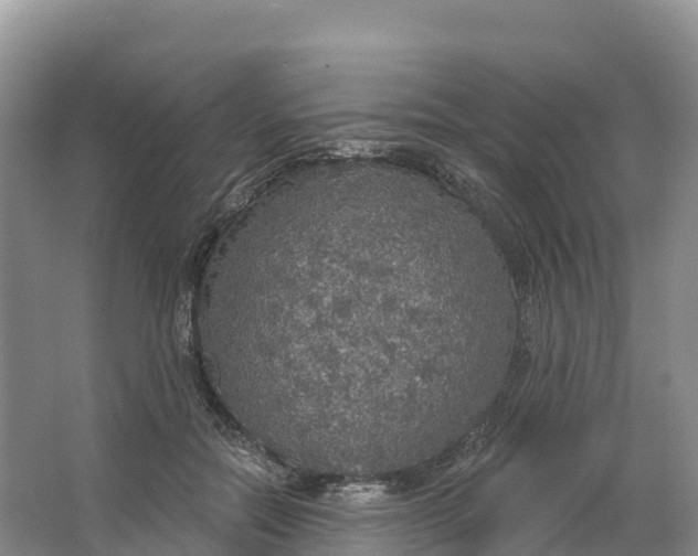 X0000064740554200602241801