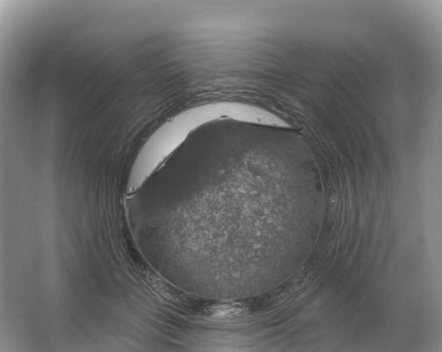 X0000064740555200602241801