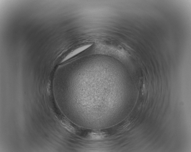 X0000064740556200602241801