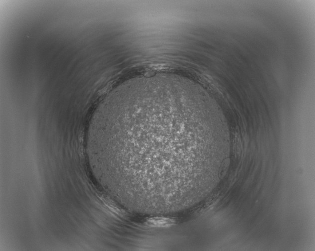 X0000064740557200602241801