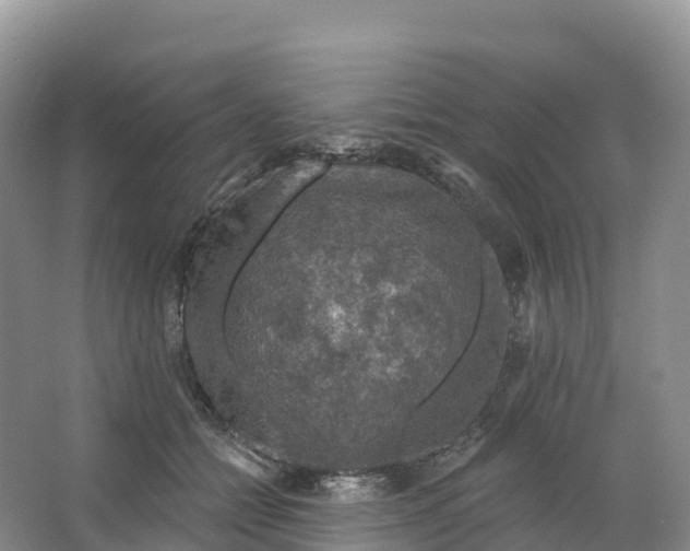 X0000064740558200602241801