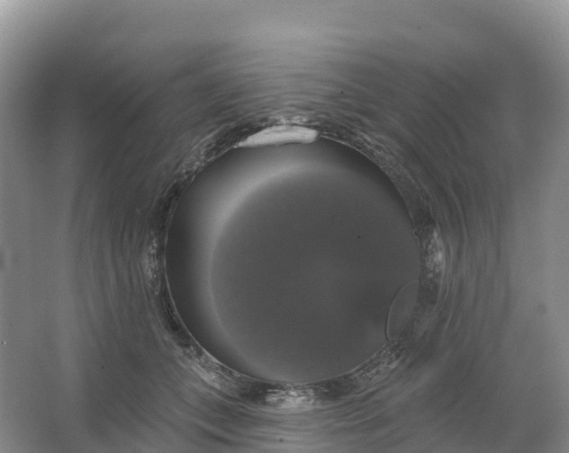 X0000064740559200602241801