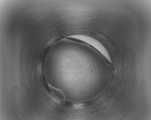 X0000064740560200602241801