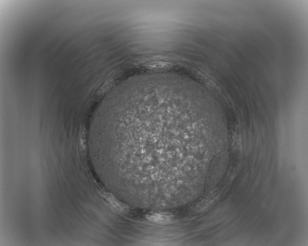 X0000064740561200602241801