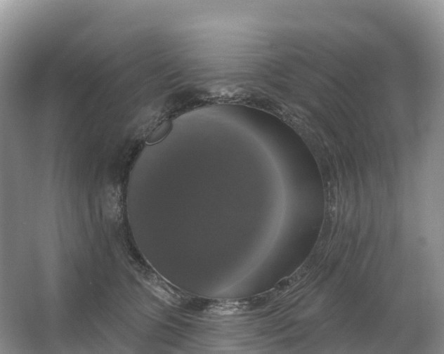 X0000064740563200602241801