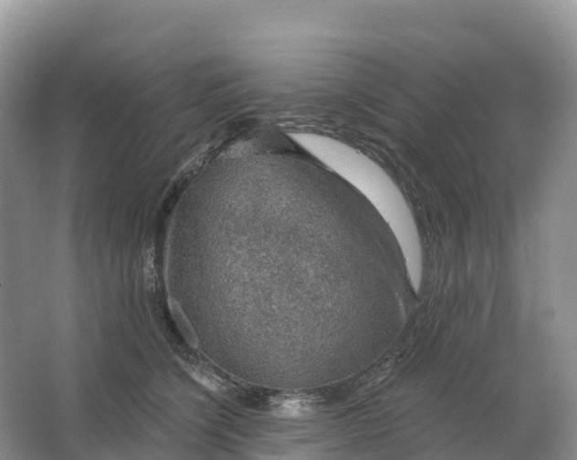 X0000064740564200602241801