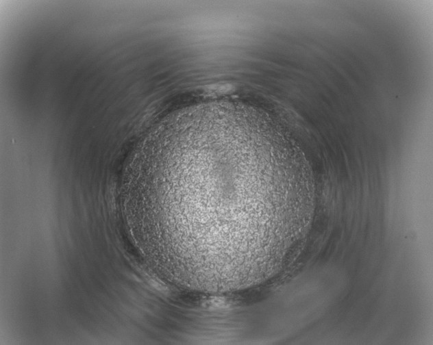 X0000064740565200602241801