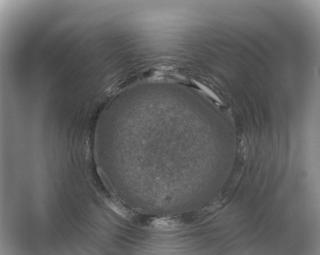 X0000064740568200602241801