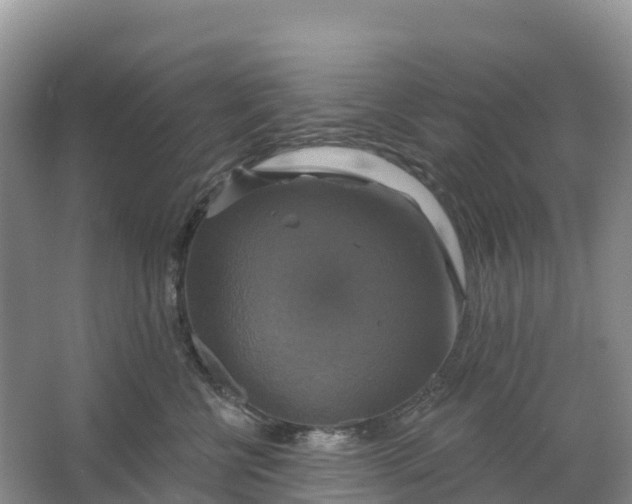 X0000064740570200602241801