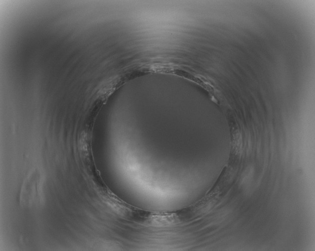 X0000064740571200602241802