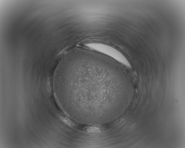 X0000064740572200602241802