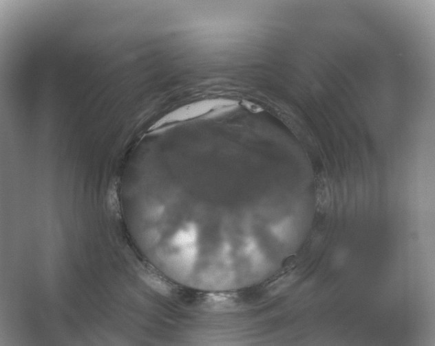 X0000064740573200602241802