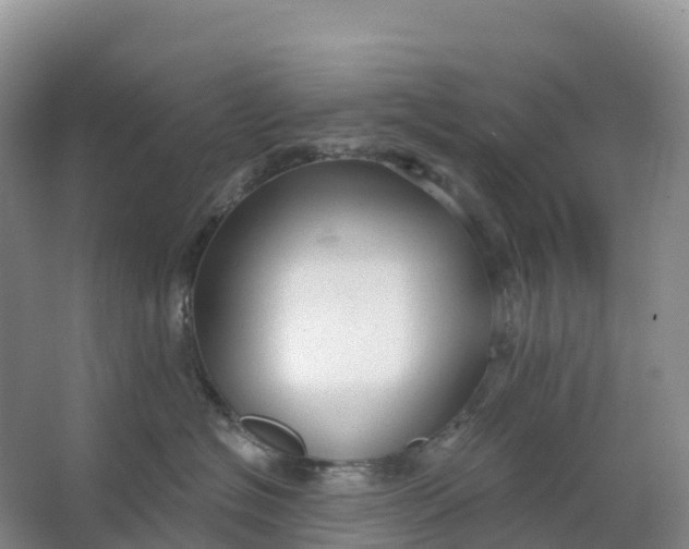 X0000064740574200602241802