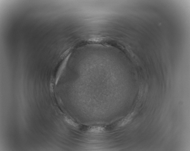 X0000064740576200602241802