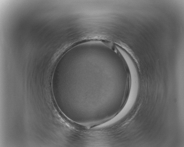 X0000064740577200602241800