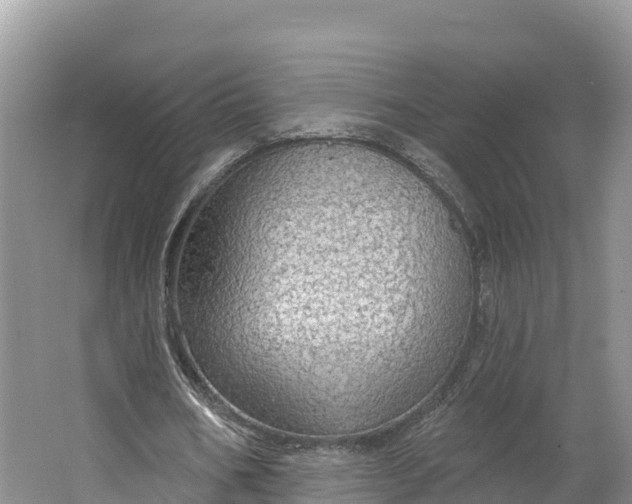 X0000064740578200602241800