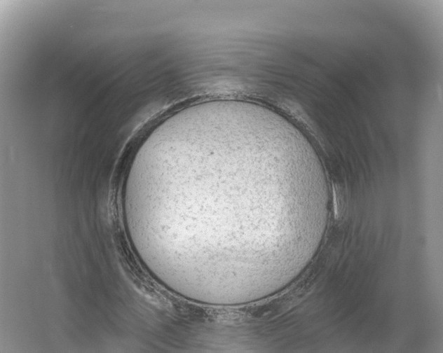 X0000064740579200602241800