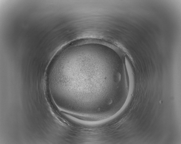 X0000064740580200602241800