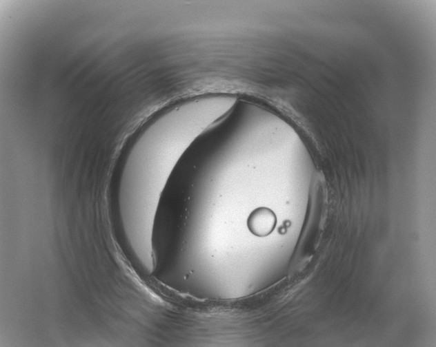 X0000064740581200602241800