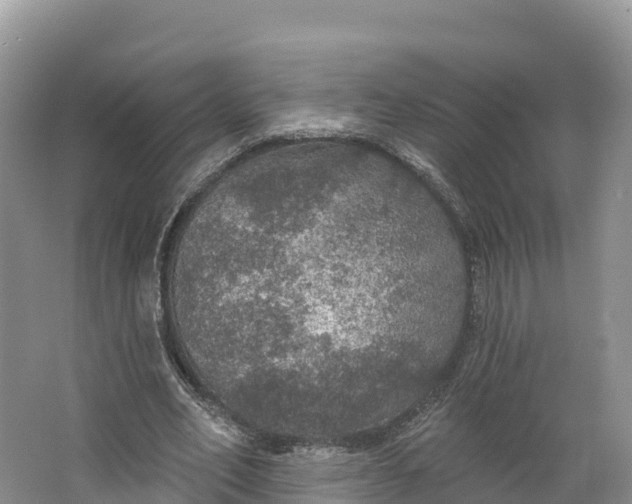 X0000064740582200602241800