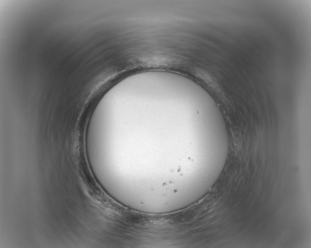 X0000064740583200602241800