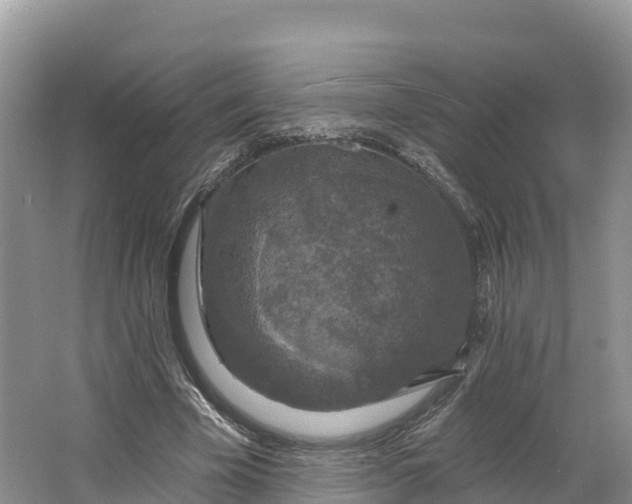 X0000064740585200602241800