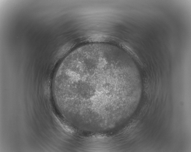 X0000064740586200602241800