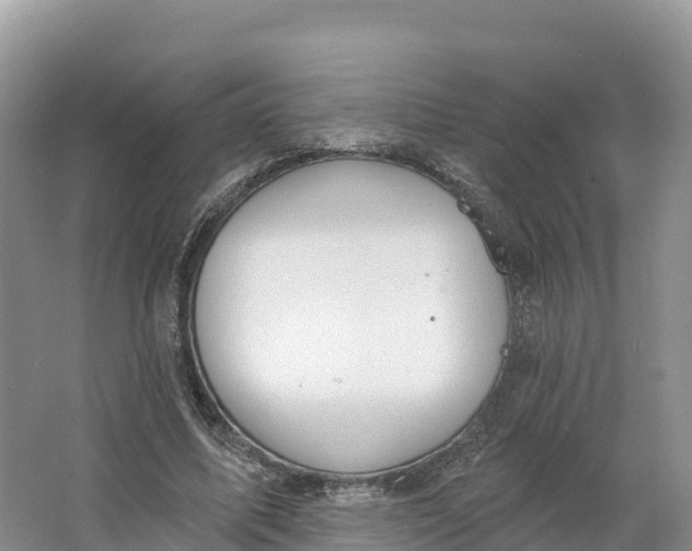 X0000064740587200602241800