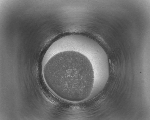 X0000064740588200602241800