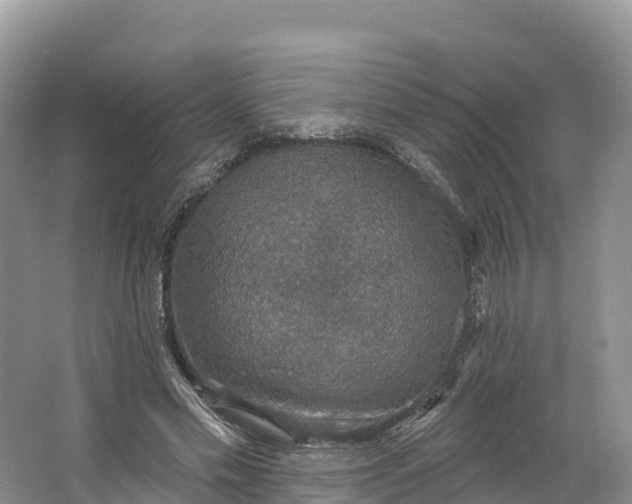 X0000064740589200602241800